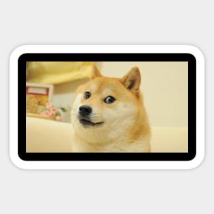 Doge Meme Sticker